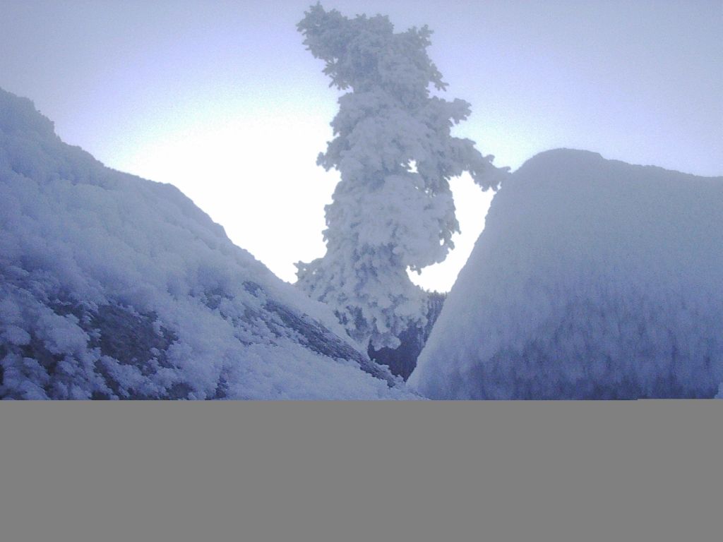 More ice