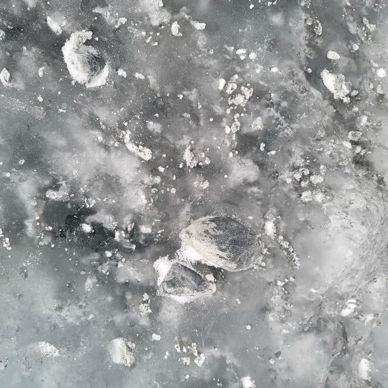 Rocks ground into the glacier ice