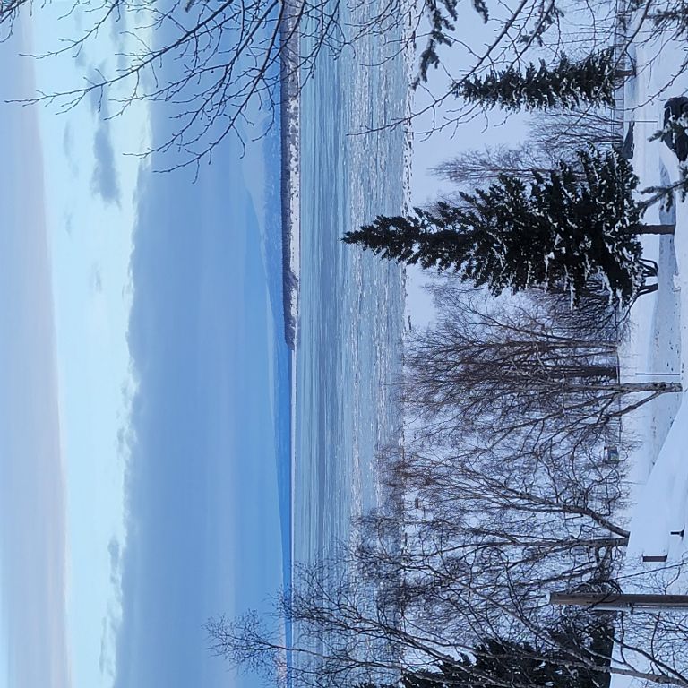 View from our hotel window