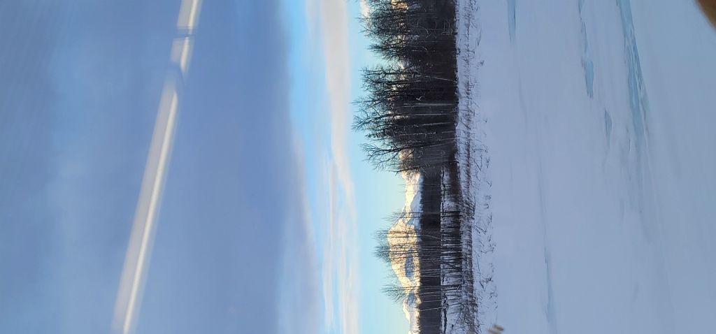 Denali