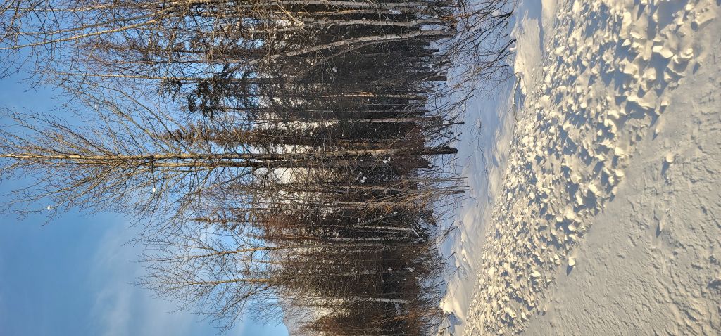 Beautiful landscape - railroad