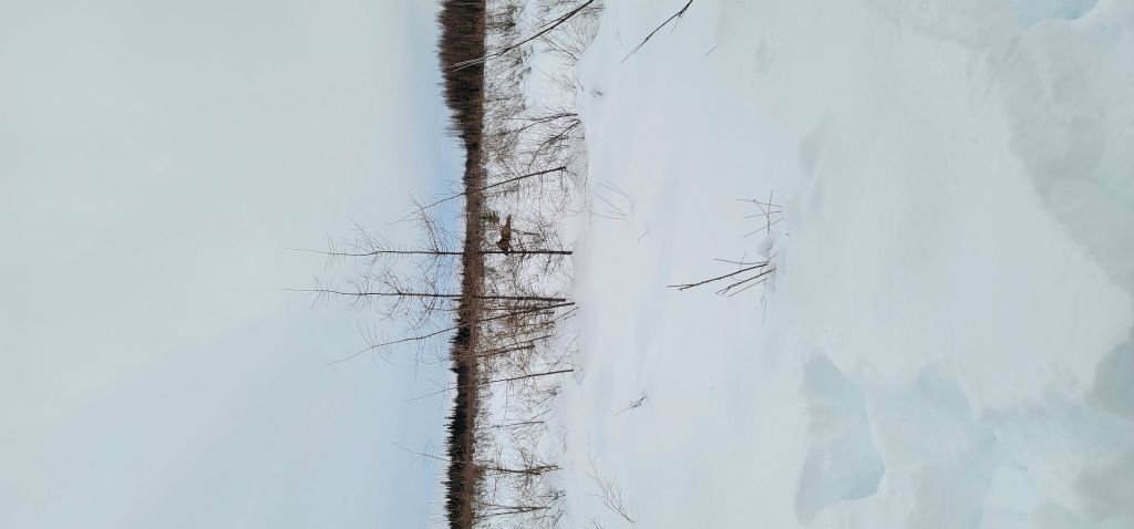 Snow machining day